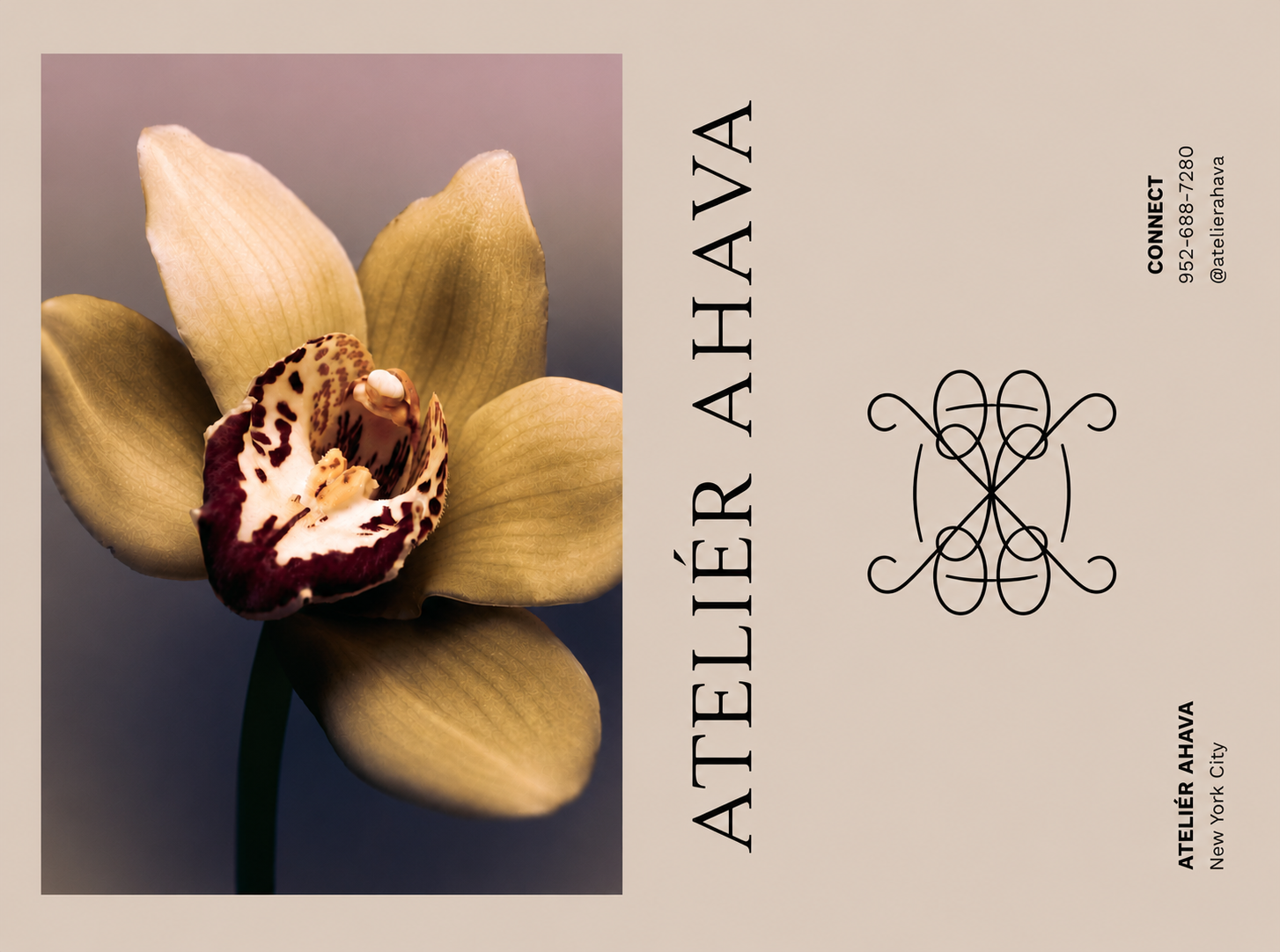 Atelier Ahava business card and postcard mockup
